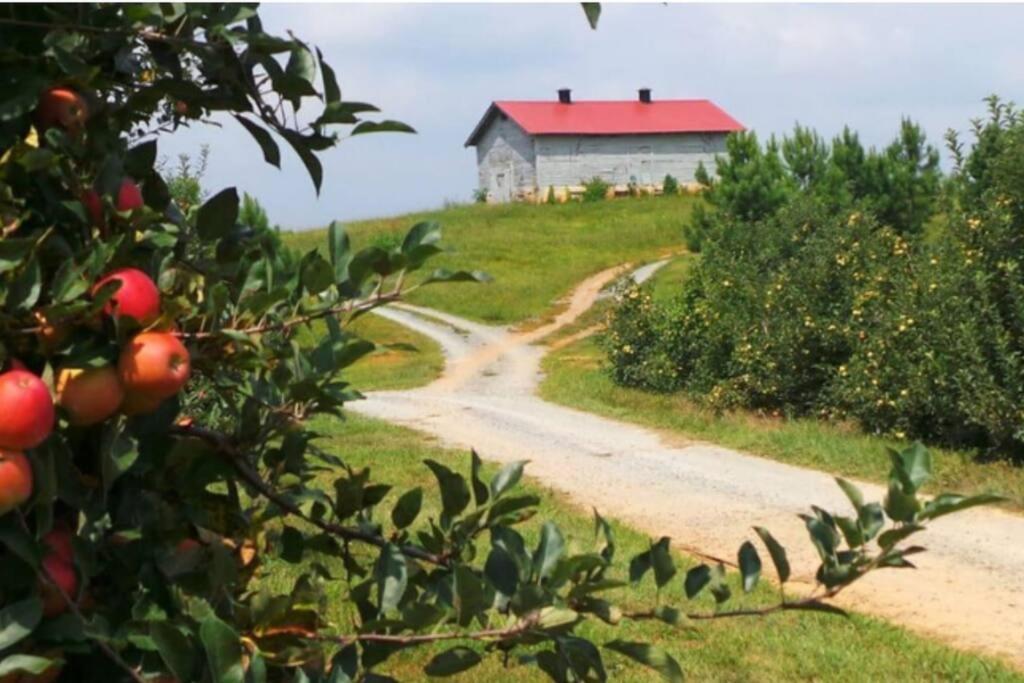 Close To Lake Blue Ridge, Hot Tub, Swing Beds Morganton ภายนอก รูปภาพ